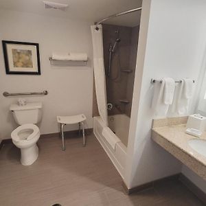 Evolution King Room Disability Access